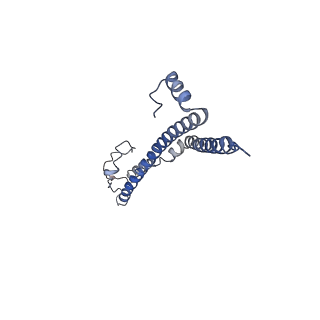 22701_7k7k_R_v1-3
Structure of the EPEC type III secretion injectisome EspA filament