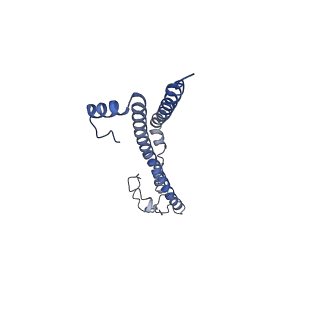 22701_7k7k_S_v1-3
Structure of the EPEC type III secretion injectisome EspA filament