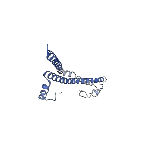 22701_7k7k_T_v1-2
Structure of the EPEC type III secretion injectisome EspA filament