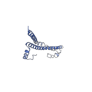 22701_7k7k_T_v1-3
Structure of the EPEC type III secretion injectisome EspA filament