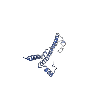 22701_7k7k_U_v1-3
Structure of the EPEC type III secretion injectisome EspA filament