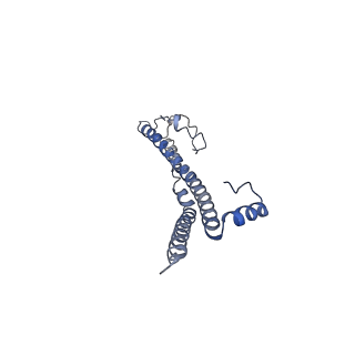 22701_7k7k_V_v1-2
Structure of the EPEC type III secretion injectisome EspA filament
