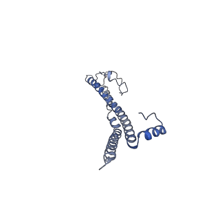 22701_7k7k_V_v1-3
Structure of the EPEC type III secretion injectisome EspA filament