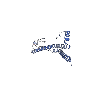 22701_7k7k_W_v1-3
Structure of the EPEC type III secretion injectisome EspA filament