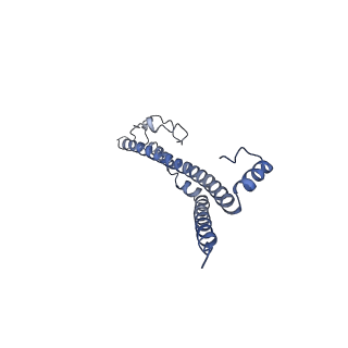 22701_7k7k_X_v1-3
Structure of the EPEC type III secretion injectisome EspA filament