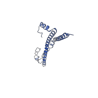 22701_7k7k_Y_v1-3
Structure of the EPEC type III secretion injectisome EspA filament