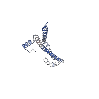 22701_7k7k_Z_v1-3
Structure of the EPEC type III secretion injectisome EspA filament