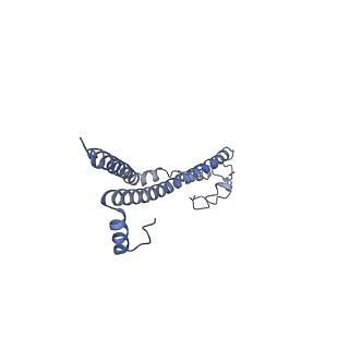 22701_7k7k_a_v1-3
Structure of the EPEC type III secretion injectisome EspA filament