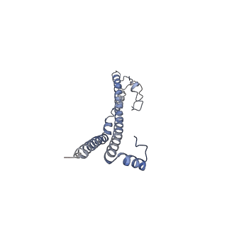 22701_7k7k_b_v1-2
Structure of the EPEC type III secretion injectisome EspA filament