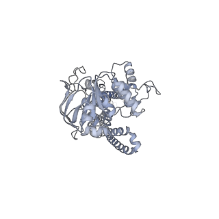 36936_8k7a_A_v1-1
Cryo-EM structure of nucleotide-bound ComA E647Q mutant with Mg2+