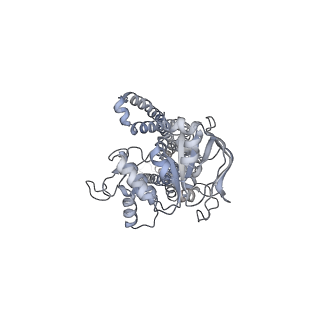 36936_8k7a_B_v1-1
Cryo-EM structure of nucleotide-bound ComA E647Q mutant with Mg2+