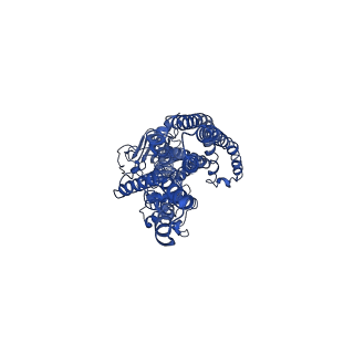 36937_8k7b_A_v1-0
post-occluded structure of human ABCB6 W546A mutant (ADP/VO4-bound)