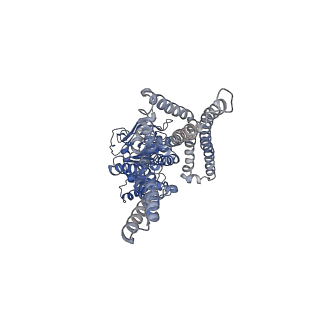 36938_8k7c_A_v1-0
Outward-facing structure of human ABCB6 W546A mutant (ADP/VO4-bound)