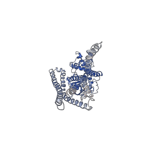 36938_8k7c_B_v1-0
Outward-facing structure of human ABCB6 W546A mutant (ADP/VO4-bound)