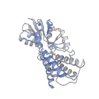 9841_6k72_C_v1-2
eIF2(aP) - eIF2B complex