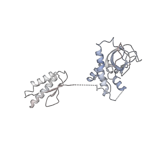 9841_6k72_K_v1-2
eIF2(aP) - eIF2B complex