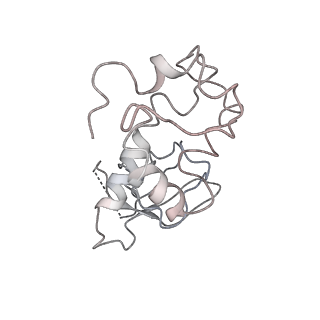 9841_6k72_L_v1-2
eIF2(aP) - eIF2B complex