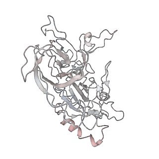 9841_6k72_P_v1-2
eIF2(aP) - eIF2B complex