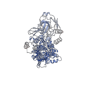 9931_6k7g_A_v1-2
Cryo-EM structure of the human P4-type flippase ATP8A1-CDC50 (E1 state class1)