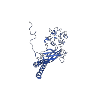 9931_6k7g_C_v1-2
Cryo-EM structure of the human P4-type flippase ATP8A1-CDC50 (E1 state class1)