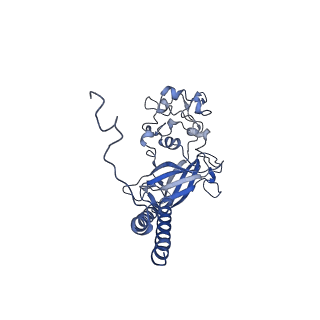9941_6k7m_C_v1-3
Cryo-EM structure of the human P4-type flippase ATP8A1-CDC50 (E2Pi-PL state)