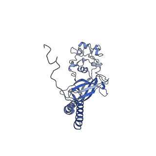 9941_6k7m_C_v2-0
Cryo-EM structure of the human P4-type flippase ATP8A1-CDC50 (E2Pi-PL state)