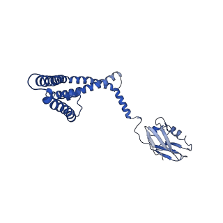 9944_6k7x_B_v1-2
Human MCU-EMRE complex