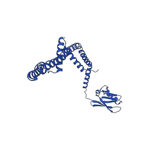 9944_6k7x_D_v1-2
Human MCU-EMRE complex