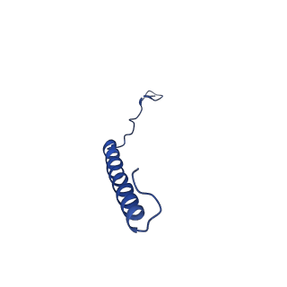 9944_6k7x_G_v1-2
Human MCU-EMRE complex