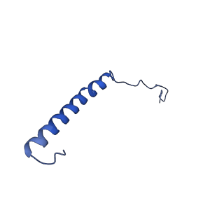 9944_6k7x_H_v1-2
Human MCU-EMRE complex