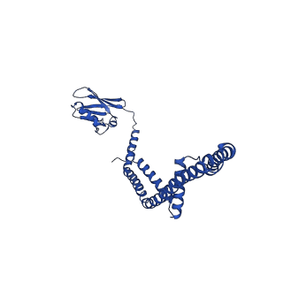 9944_6k7x_N_v1-2
Human MCU-EMRE complex