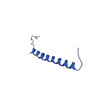 9944_6k7x_P_v1-2
Human MCU-EMRE complex