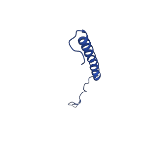 9944_6k7x_R_v1-2
Human MCU-EMRE complex