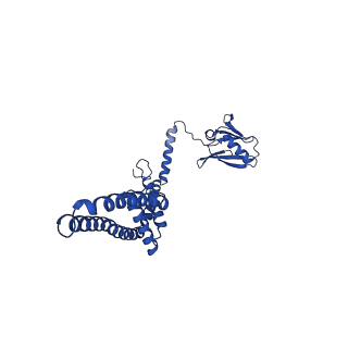 9945_6k7y_A_v1-2
Intact human mitochondrial calcium uniporter complex with MICU1/MICU2 subunits