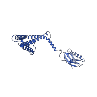 9945_6k7y_B_v1-2
Intact human mitochondrial calcium uniporter complex with MICU1/MICU2 subunits