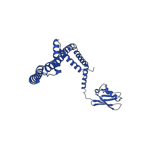 9945_6k7y_D_v1-2
Intact human mitochondrial calcium uniporter complex with MICU1/MICU2 subunits