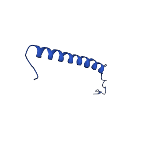 9945_6k7y_E_v1-2
Intact human mitochondrial calcium uniporter complex with MICU1/MICU2 subunits