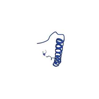 9945_6k7y_F_v1-2
Intact human mitochondrial calcium uniporter complex with MICU1/MICU2 subunits