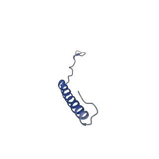 9945_6k7y_G_v1-2
Intact human mitochondrial calcium uniporter complex with MICU1/MICU2 subunits