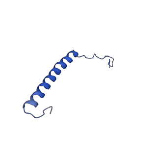 9945_6k7y_H_v1-1
Intact human mitochondrial calcium uniporter complex with MICU1/MICU2 subunits