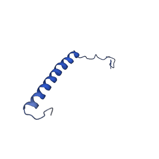 9945_6k7y_H_v1-2
Intact human mitochondrial calcium uniporter complex with MICU1/MICU2 subunits