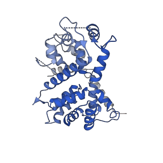 9945_6k7y_I_v1-2
Intact human mitochondrial calcium uniporter complex with MICU1/MICU2 subunits
