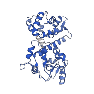 9945_6k7y_J_v1-1
Intact human mitochondrial calcium uniporter complex with MICU1/MICU2 subunits