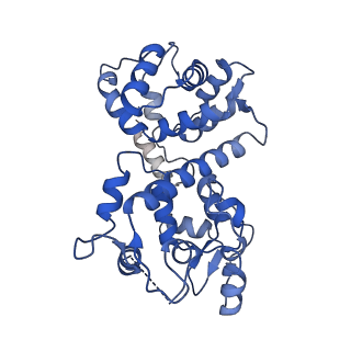 9945_6k7y_J_v1-2
Intact human mitochondrial calcium uniporter complex with MICU1/MICU2 subunits