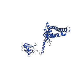 9945_6k7y_N_v1-1
Intact human mitochondrial calcium uniporter complex with MICU1/MICU2 subunits