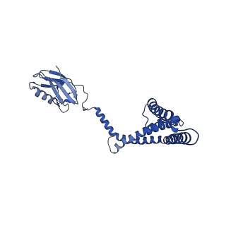 9945_6k7y_O_v1-2
Intact human mitochondrial calcium uniporter complex with MICU1/MICU2 subunits