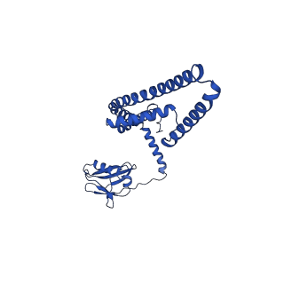 9945_6k7y_P_v1-2
Intact human mitochondrial calcium uniporter complex with MICU1/MICU2 subunits