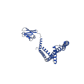 9945_6k7y_Q_v1-1
Intact human mitochondrial calcium uniporter complex with MICU1/MICU2 subunits