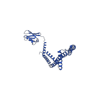 9945_6k7y_Q_v1-2
Intact human mitochondrial calcium uniporter complex with MICU1/MICU2 subunits