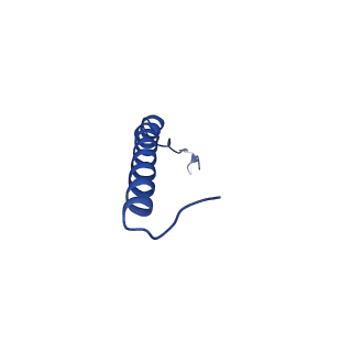 9945_6k7y_S_v1-2
Intact human mitochondrial calcium uniporter complex with MICU1/MICU2 subunits